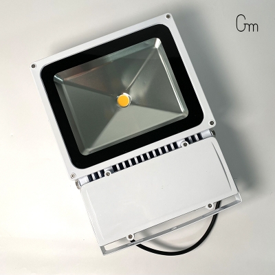 100W戶(hù)外射燈