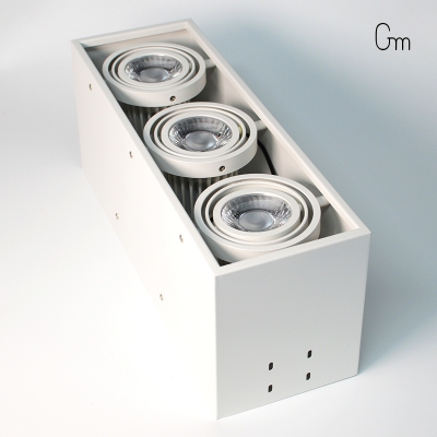 F13明裝三頭格柵燈